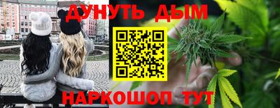 прущие крисы Ставрополь