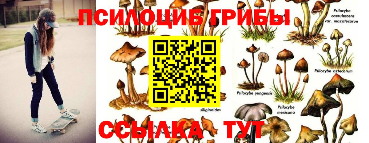 Галлюциногенные грибы GOLDEN TEACHER Обнинск